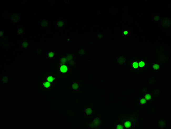 圖森在腫瘤醫院拍攝的照片2