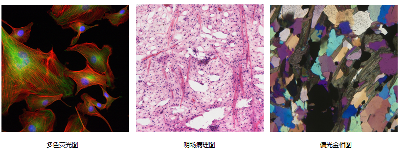 f97f96a0df865ed0a797fd25a895155a_13