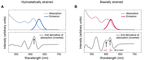 鑫圖 400BSI V3 | 非對(duì)稱應(yīng)變的膠體量子點(diǎn)的發(fā)射方向性的增強(qiáng)